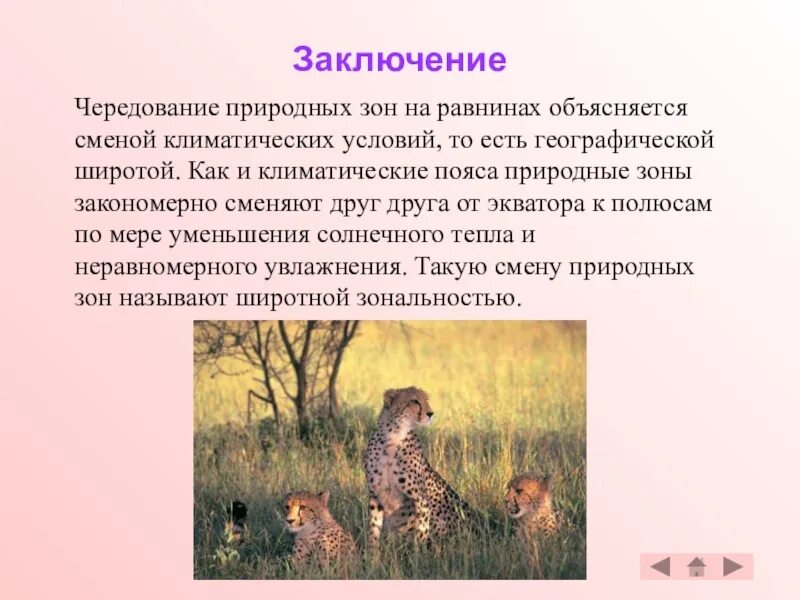 Природная зона презентация 7 класс. Вывод на тему природные зоны. Природные зоны России вывод. Вывод по теме природные зоны. Выводы по теме природные зоны мира.