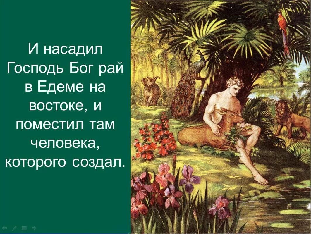 Бог создал человека из земли. Первые люди которых создал Бог.