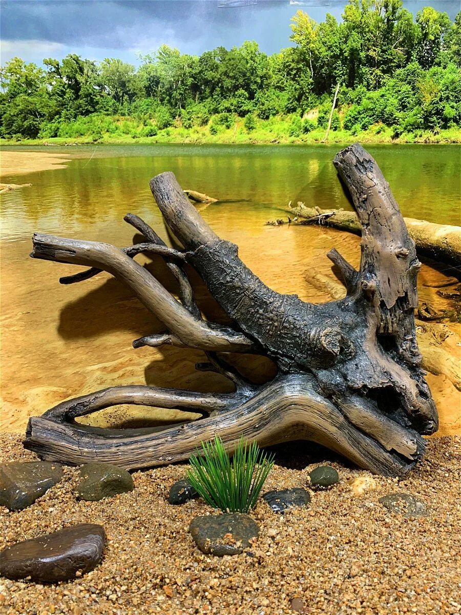 Коряга. Коряга для аквариума. Красивая коряга. Речная коряга. Большая коряга