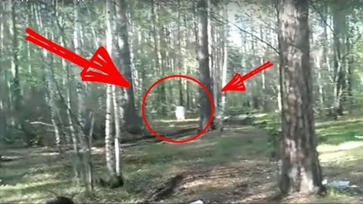 Вызовы духов в доме. Вызываем духов в лесу. Каратели дотки вызов духов. Вызываем духов в лесу. Вызываем духов в лесу.