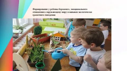 Эстетическое отношение детей к окружающему
