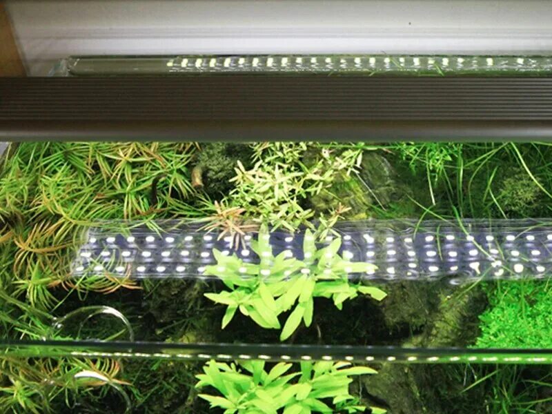 Светильник для аквариума ювель рио 180. Светильник биодизайн led scape day light 6500k. Светильник для аквариума 100 см. Светильники биодизайн для аквариума 125. Аквариумный светильник биодизайн с лампами т8 90 см.