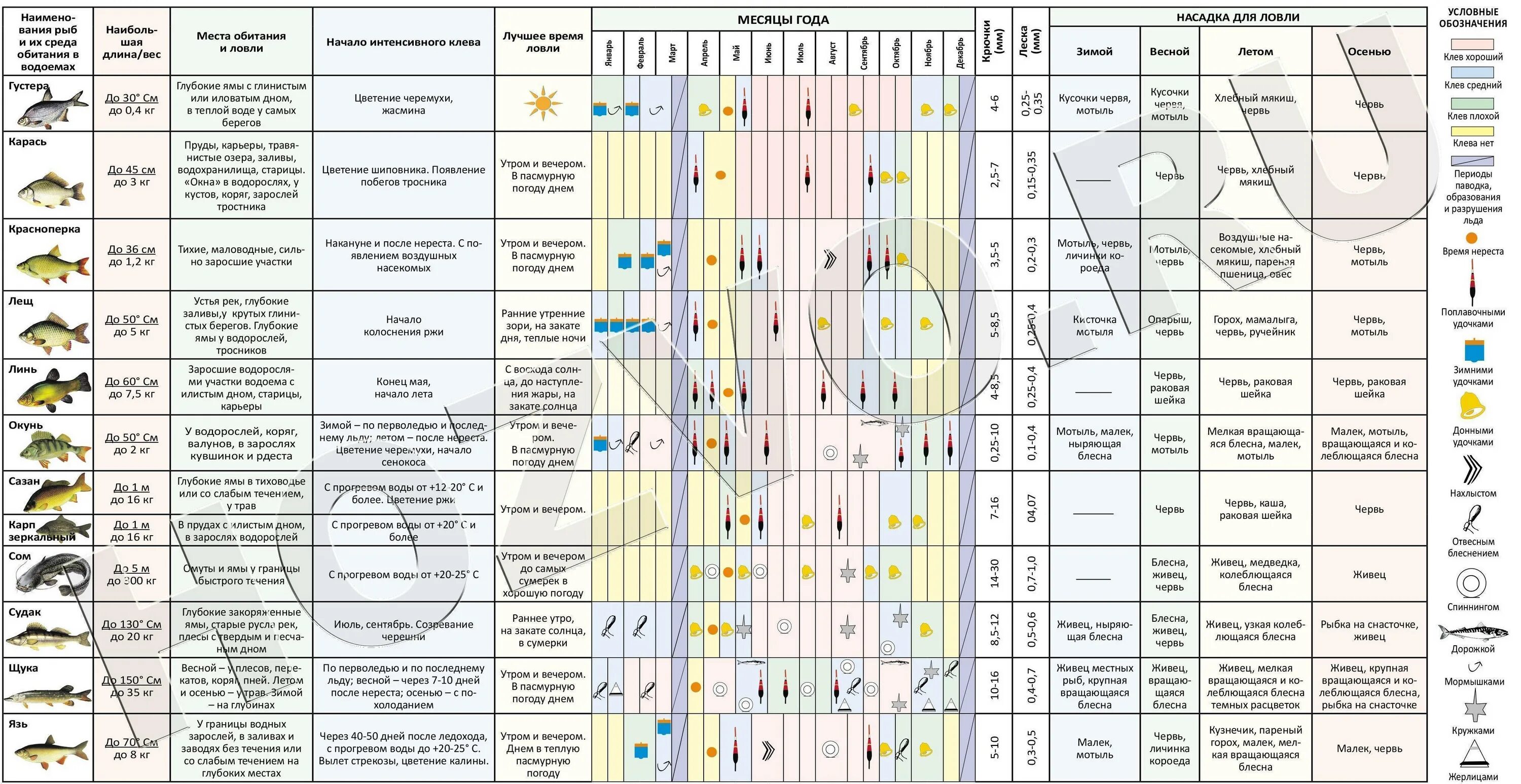 Какую рыбу сейчас можно ловить. Таблица давления ловли рыбы зимой. Давление и клев рыбы. При каком давлении клюет рыба. Давление и клёв рыбы таблица.