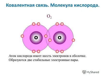 Атомный состав кислорода