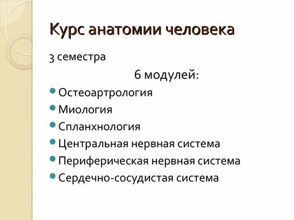 Анатомия план