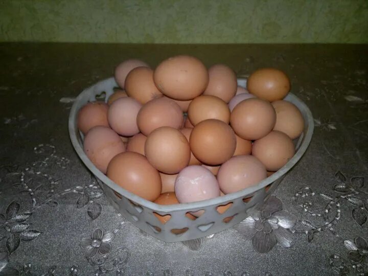 Какие должны быть домашние яйца. Яйцо домашнее. Яйца домашние фото. Инское домашнее яйцо. Сколько стоят домашние яйца.