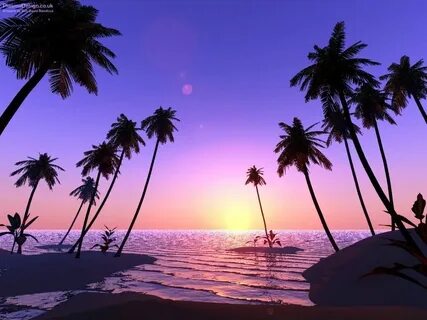 Chill tropical