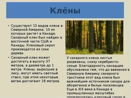 Клен имеет для канадцев особое значение текст