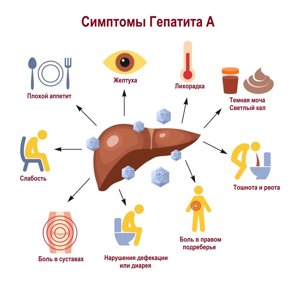 Гепатит а болезнь Боткина. Вирусный гепатит симптомы. Гепатит с инфографика. Гепатит c. Hcv инфекция