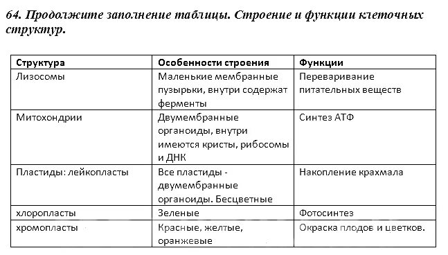 Функции органоидов лизосома. Лизосомы строение и функции таблица. Митохондрии пластиды клеточный центр органоиды движения таблица. Строение органоидов клетки таблица пластиды. Лизосомы строение и функции т.