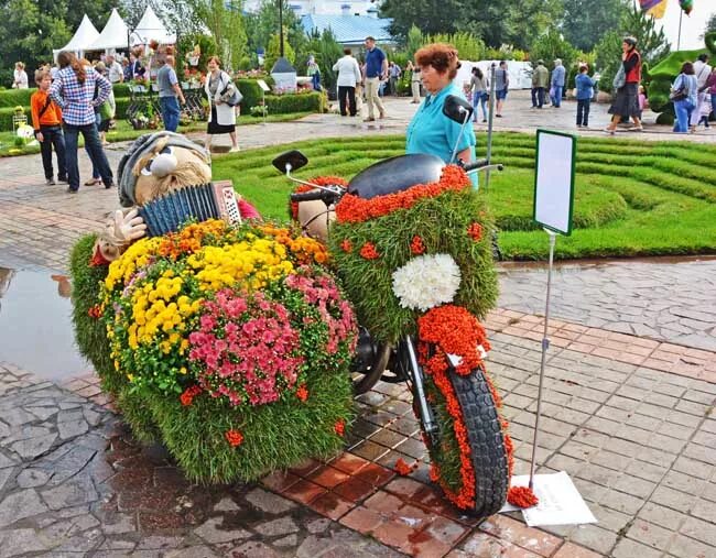 город сад воронеж. город сад воронеж перегорела одна буква. город сад воронеж 2019. выставка город сад. город сад воронеж.