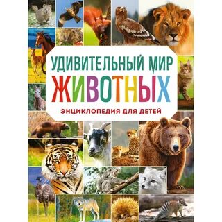 Мир животных автор