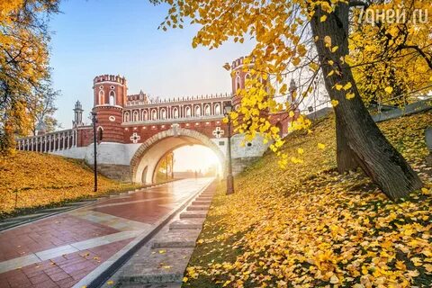Места где красиво осенью москва