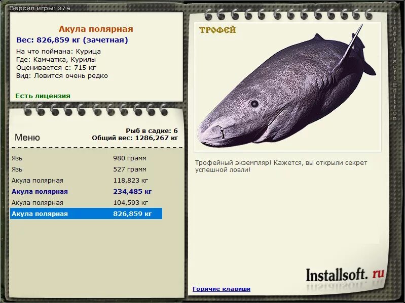 полярная акула реальная рыбалка. полярная акула реальная рыбалка. русская рыбалка 3 1 остров врангеля мв. русская рыбалка 3. акула полярная русская рыбалка.