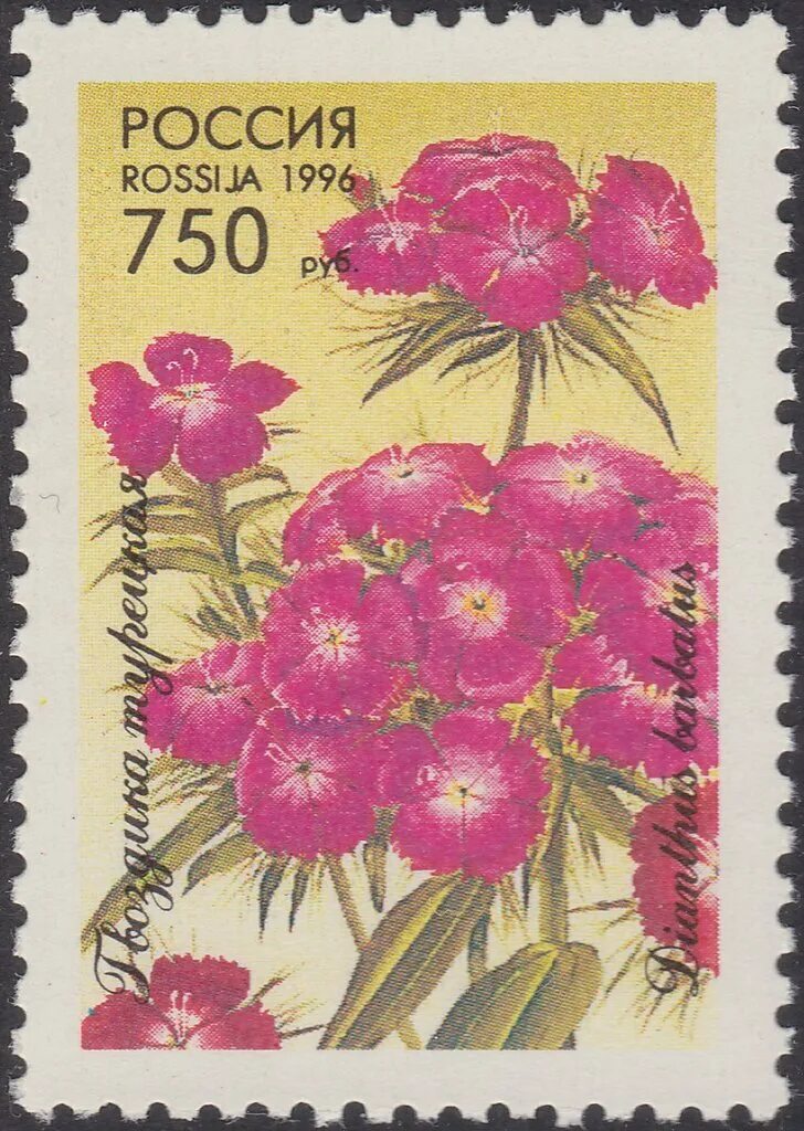Марки 1996 года россия. Почтовые марки с цветами. Марки с растениями. Почтовые марки с цветами Россия.