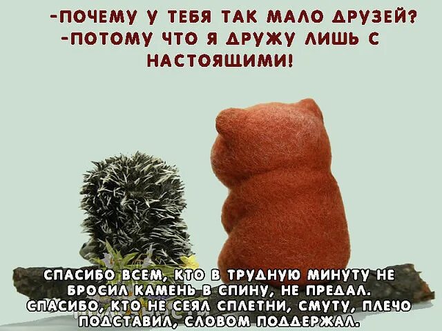 Друзей выбираем мы сами но лучших. Друзей выбираем мы сами но лучших оставляет время. друзей мы выбираем сами а лучших оставляет время. друзей мы выбираем сами но лучших оставляет. друзей выбираем мы а лучших оставляет время.