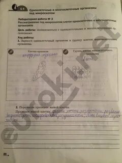 Решебник по биологии 5 2023