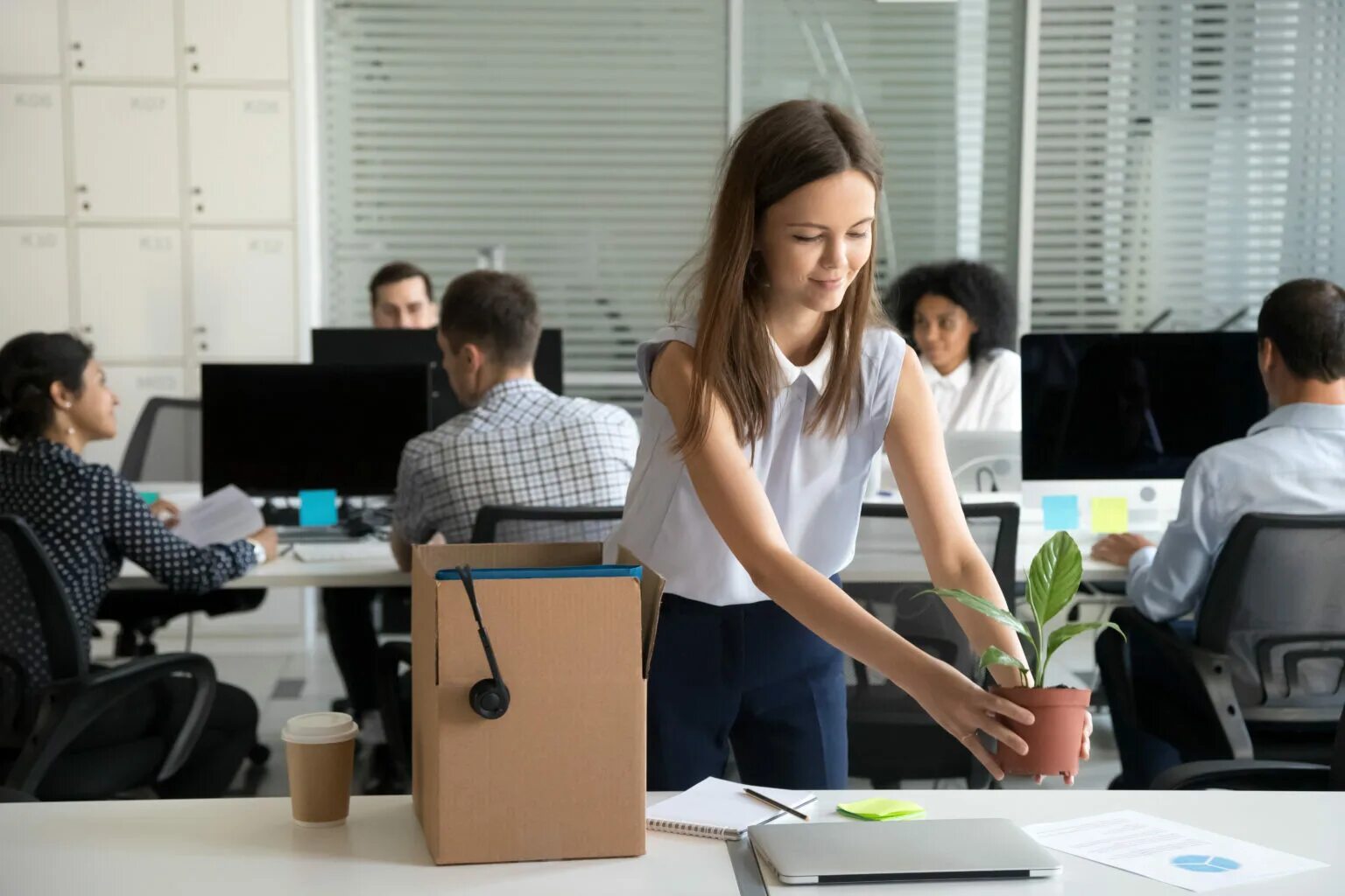 Working days starts. Новый коллектив. Новичок в офисе. Как влиться в новый коллектив. Как влиться в новый коллектив на работе.