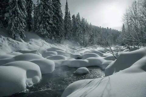 Снежань
