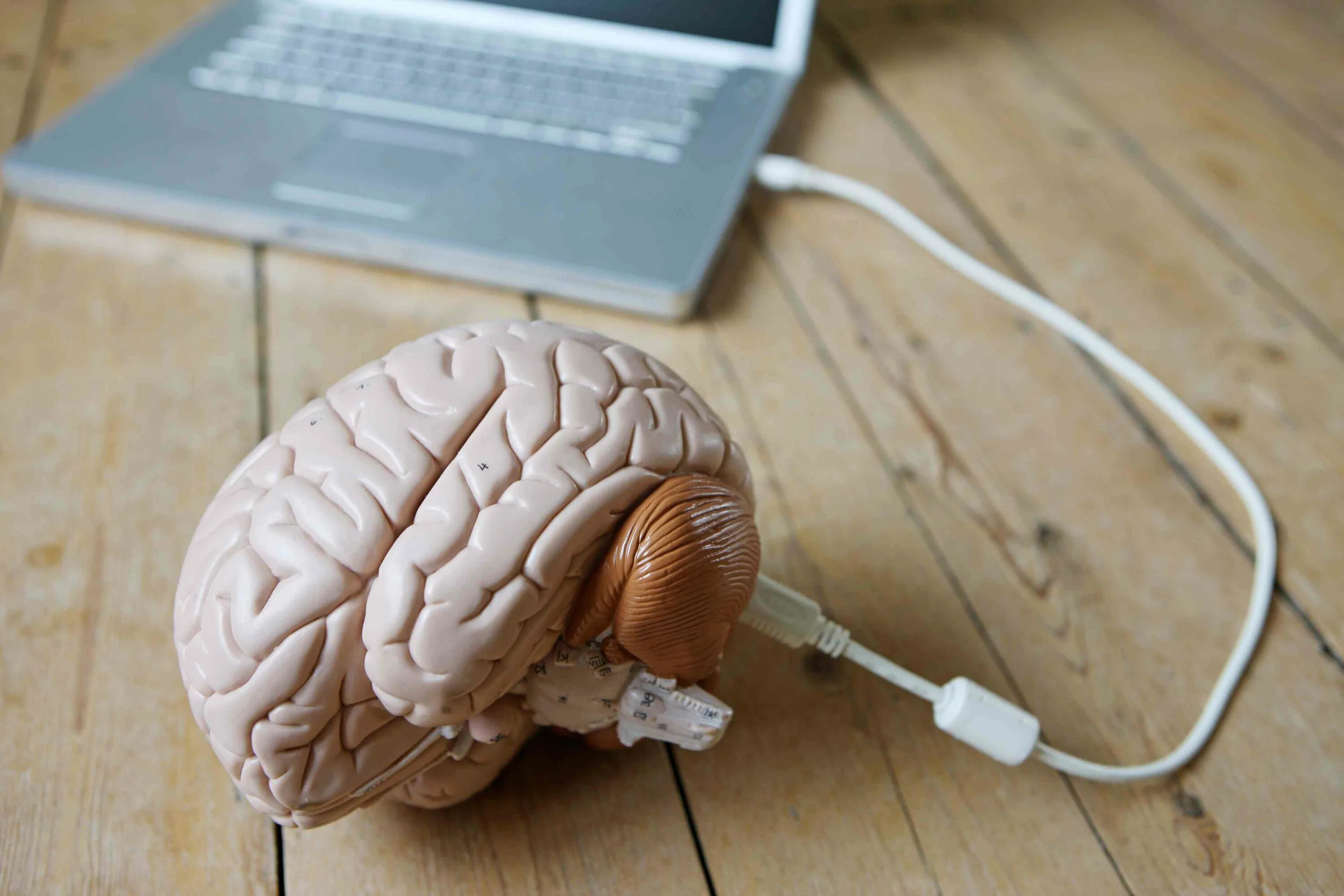 Современный мозг. Мозг и интернет. Обновление мозга. Апгрейд мозга. Человеческий мозг и компьютер.