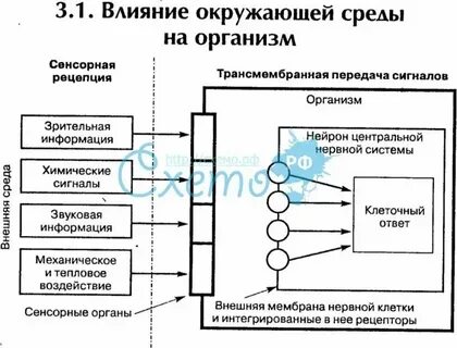 Оценка влияния уровней фактора