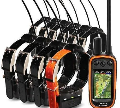 Джипиэс ошейник для охотничьих собак. Garmin alpha 100 с ошейником tt 10. garmin astro 320 с ошейником dc50. навигатор garmin astro 220 без ошейника. gps ошейник hunter 2 500.