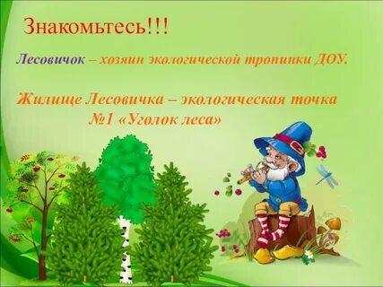 Экологическая точка