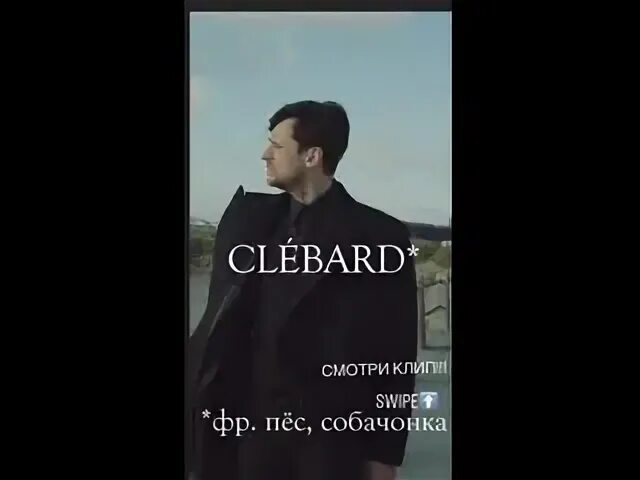 Колдун пес бродячий