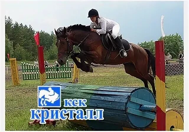 Технология спорта конный