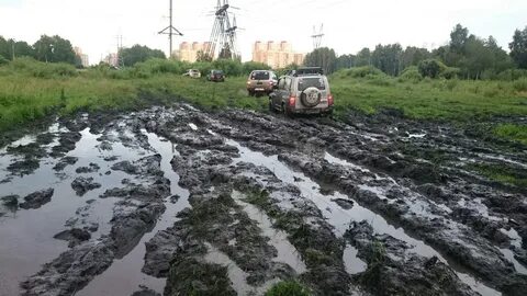 Грязевой стандарт