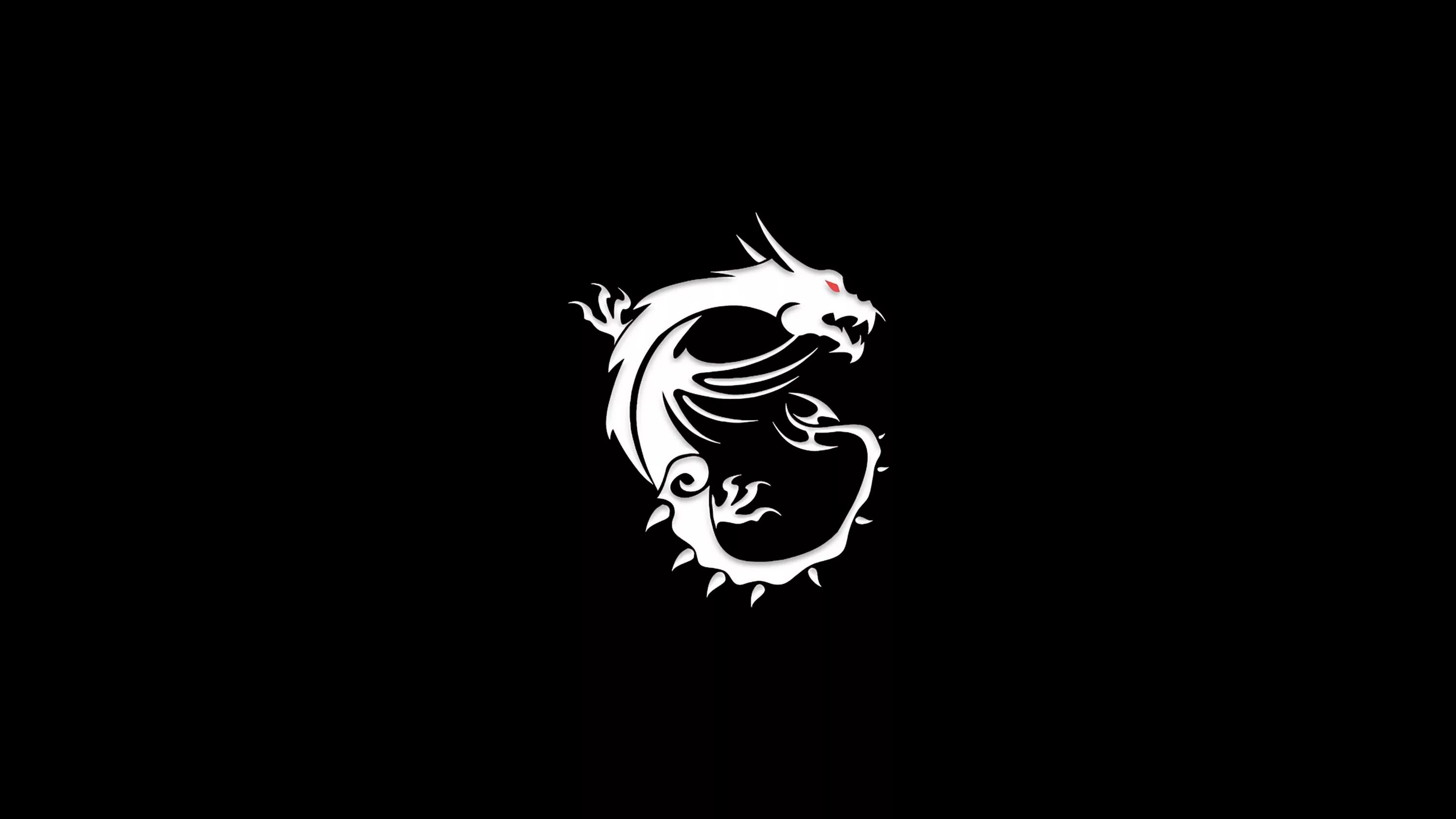 800 600 650. Логотип на черном фоне. Белый дракон на черном фоне. Дракон на черном фоне. Дракон Минимализм.