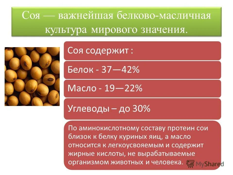 К протеинам относятся. Пищевая ценность сои. Химический состав сои. Соя питательная ценность. Содержание белка в сое.