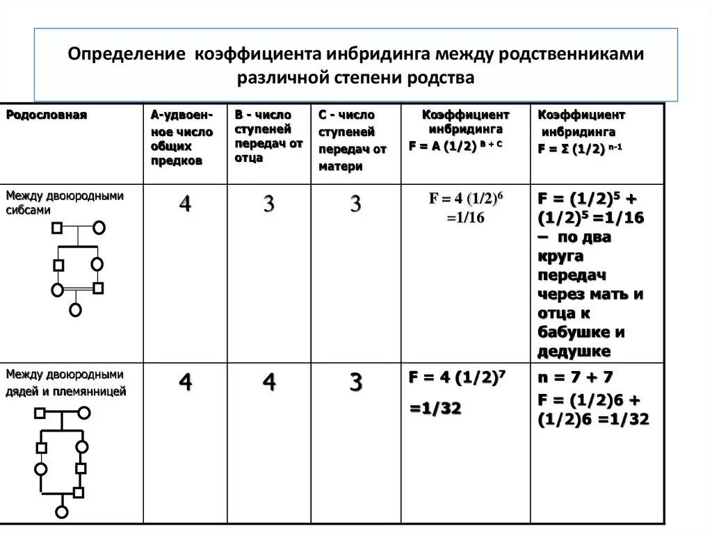 Вычисление коэффициента инбридинга. Коэффициент инбридинга Райта. Коэффициент инбридинга таблица.