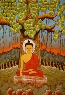 The seed of the sacred fig
