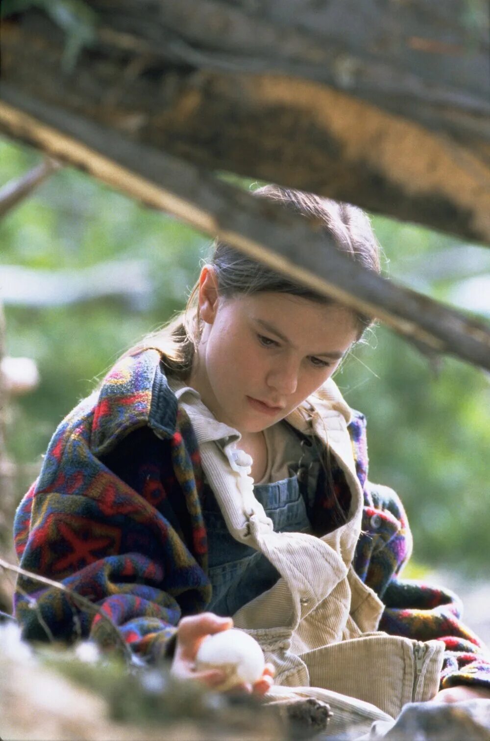 Fly away home. Летите домой 1996. Летите домой 1996. Летим домой. Fly away home [dvd] [1996].