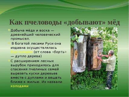 Пасека текст