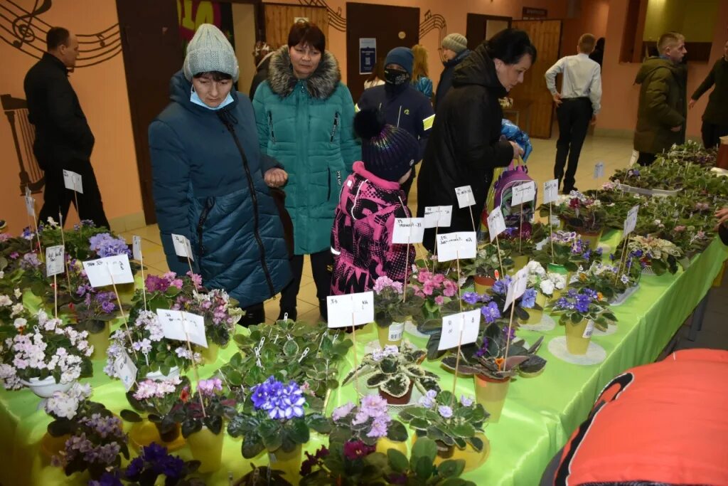 Выставка фиалок в кировском. Выставка фиалок в кировском. Выставка фиалок спб 2023 невский дом фиалок. Выставка фиалок в кировском. Выставка фиалок в санкт-петербурге.