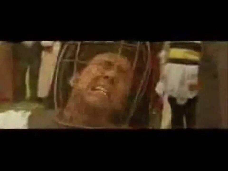 Not the bees
