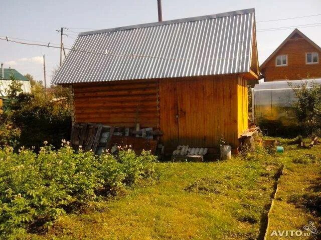 Садоогород фото. Дачный дом в снт. Ижевск снт пирогово участок 308. Садоогороды в ижевске. Садоогород.