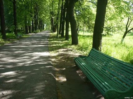 В прохладе тенистой рощи