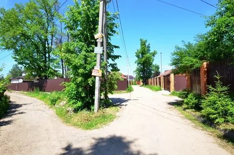 Грибки мытищинский