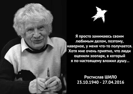 Ра шило