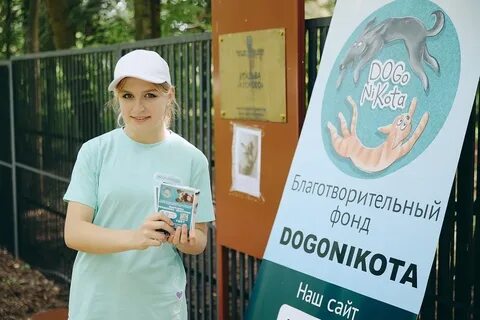 Фестиваль бездомных животных