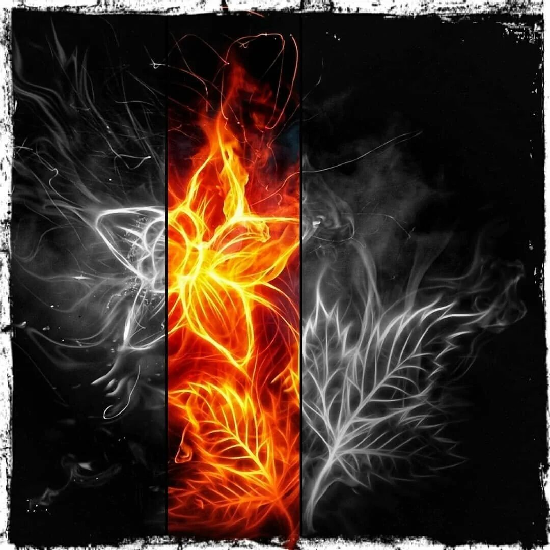 Огненная женщина. Огонь воскрешу. Огненные крылья. Огонь воскрешу. Огненное сердце.