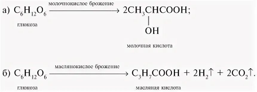 Молочнокислое брожение глюкозы уравнение реакции. Брожение глюкозы. маслянокислое брожение глюкозы. брожение глюкозы реакция. молочнокислое брожение глюкозы.
