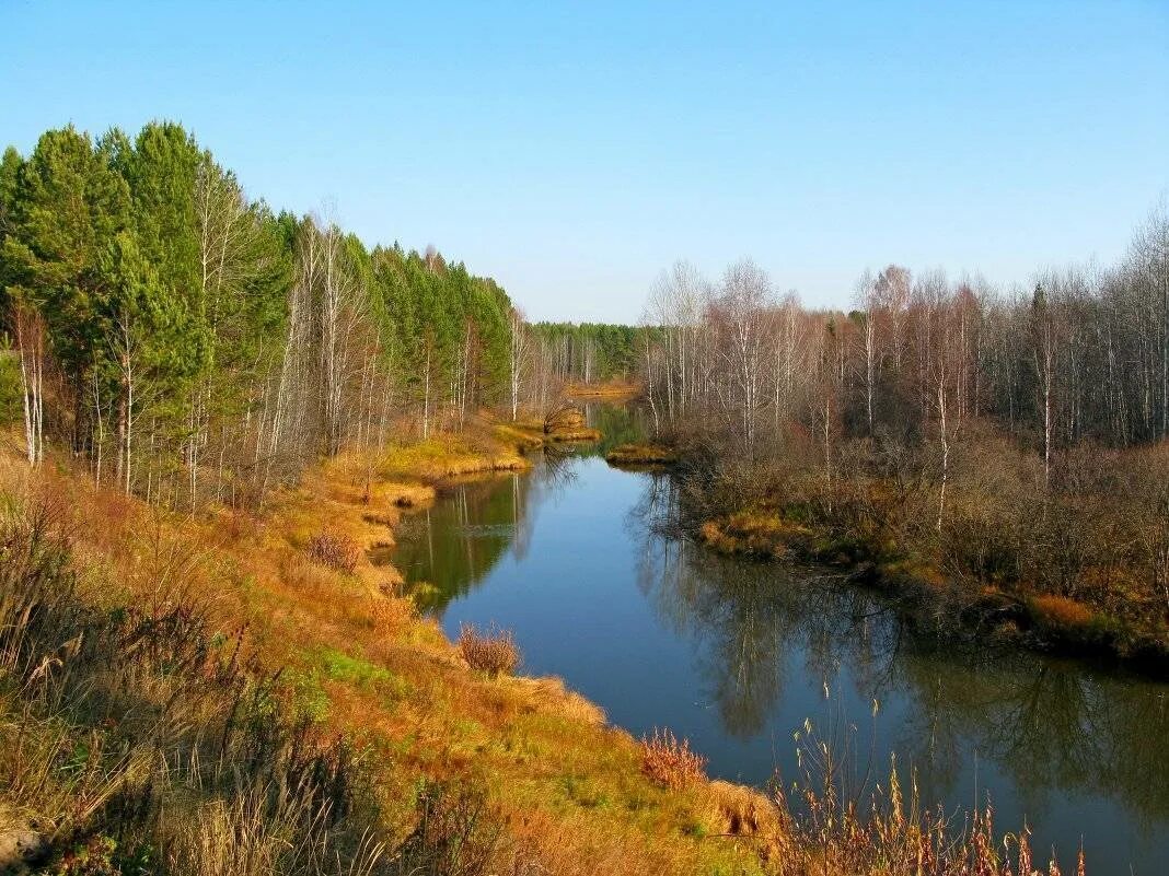 Река четь Томской области. Река Кеть Красноярский край. Река четь Красноярский край. Река Васюган Томская область. Река протекает через озеро