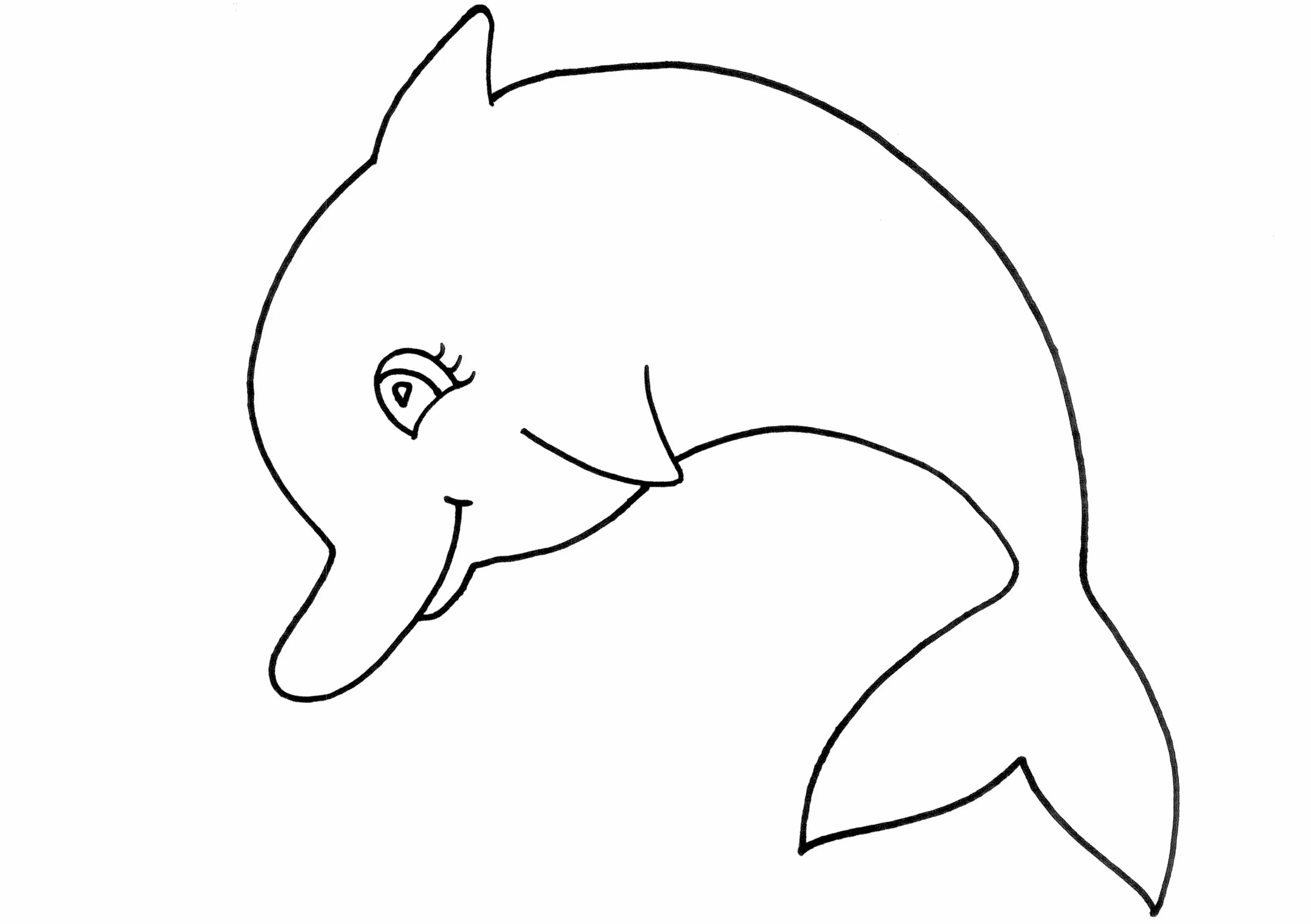 Картинки шаблоны животных. Контуры животных. контуры животных для аппликации. шаблоны животных для детей. трафареты животных для рисования для детей.