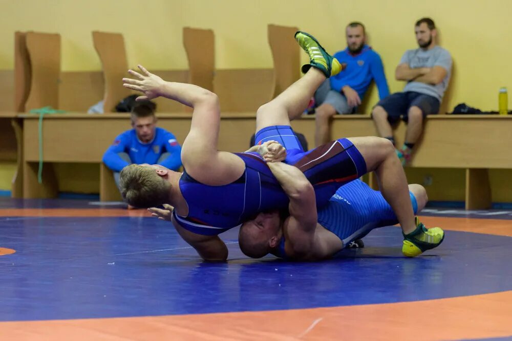 первомаец новосибирск греко-римская борьба. благовещенка дзюдо. сборы по борьбе. сборы по борьбе. борьба сборы.