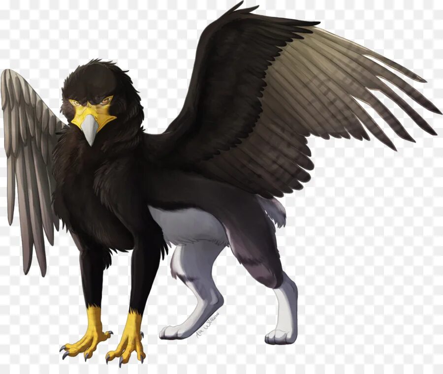 Black gryphon basic. Black gryphon basic. Демон грифон. Черный грифон. Черный грифон.