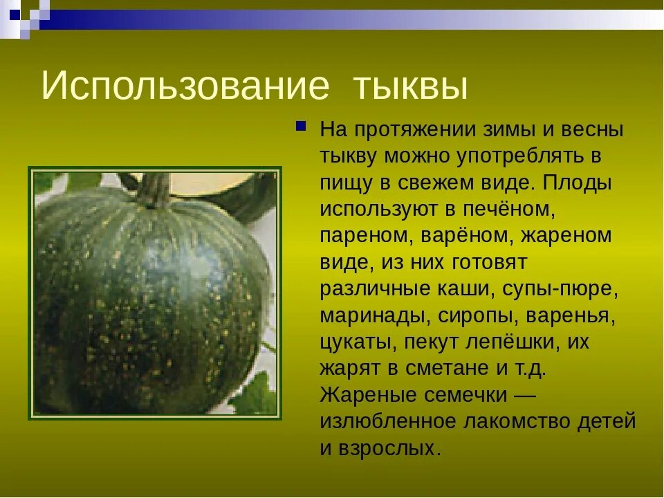 Тыква для презентации. Сообщение о культурном растении тыква. Рассказ про тыкву. Проект про тыкву. Текст про тыкву